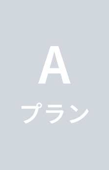 Aプラン