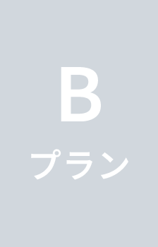 Bプラン