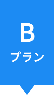 Bプラン