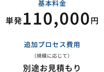 基本料金 単発110,000円 追加プロセス費用(規模に応じて) 別途お見積もり