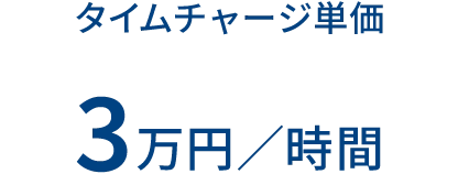 タイムチャージ単価 3万円/時間