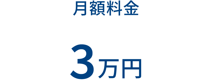 月額料金 3万円